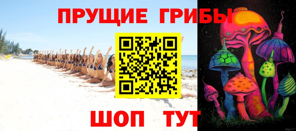 продажа наркотиков  Псилоцибиновые грибы Magic Shrooms  Вход с VPN  Тимашёвск 